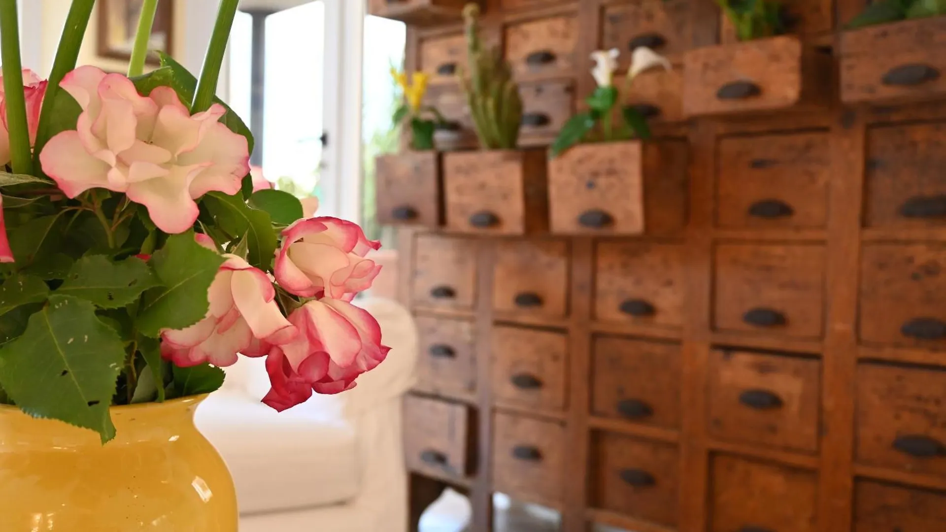Hotel B&B Montecarlo Milano Marittima