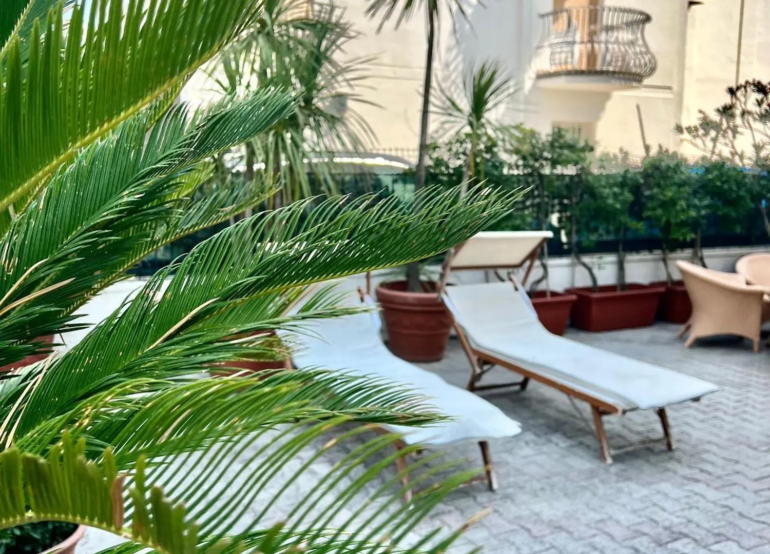 Hotel B&B Montecarlo Milano Marittima 3*,